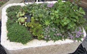 Custom container Gardens